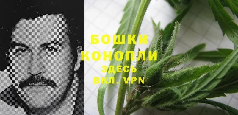 Каннабис SATIVA & INDICA  сколько стоит  Белинский 